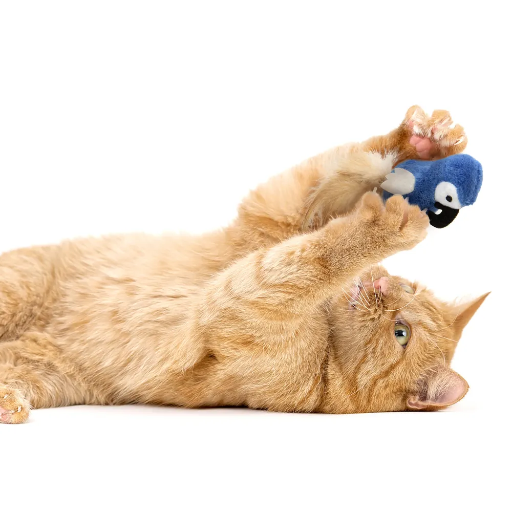 Discount Cat Chatty Chirp Plush Bird Supplies Collars, Scratchers, Toys, Etc.