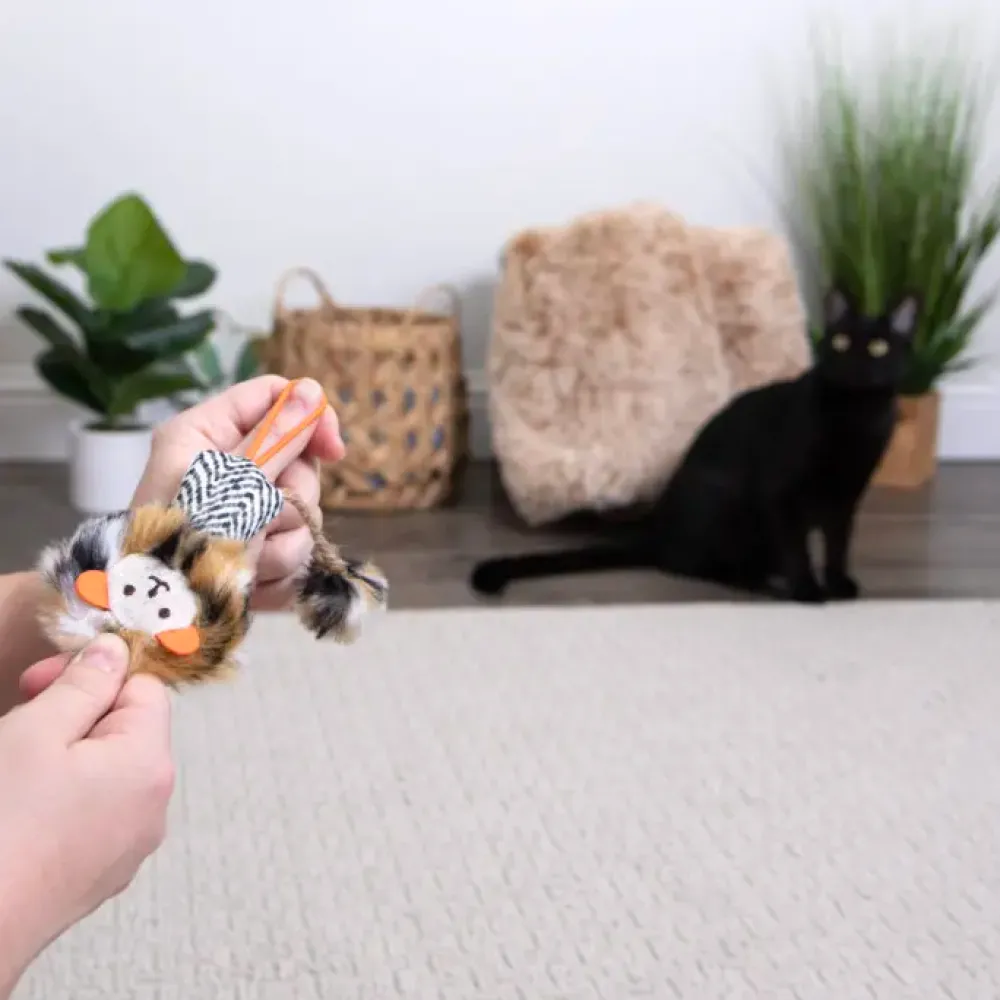 Online Cat Prideful Player HappyNip Launch & Chase Supplies Collars, Scratchers, Toys, Etc.