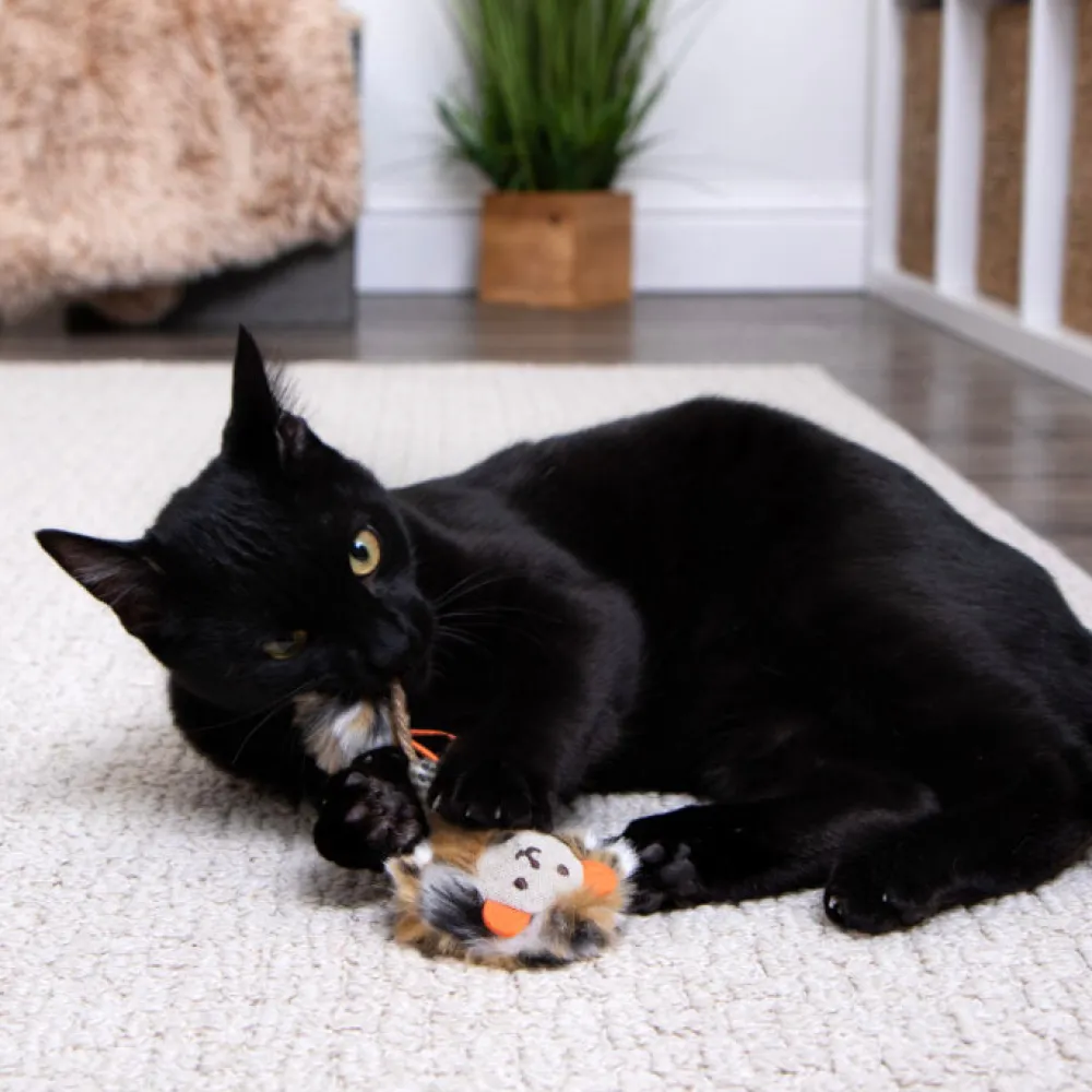 Online Cat Prideful Player HappyNip Launch & Chase Supplies Collars, Scratchers, Toys, Etc.