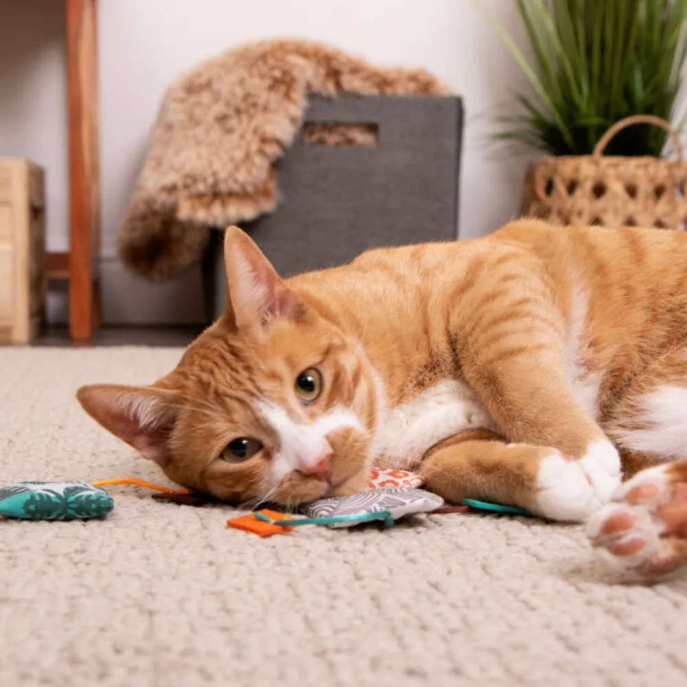 Fashion Cat Tricky Teahappy Nip Toss & Bat Pk Supplies Collars, Scratchers, Toys, Etc.