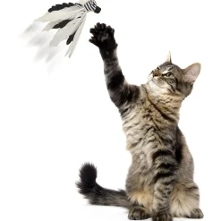 Hot Cat Zingy Zebratoss & Chase Happy Nip Feathered Supplies Collars, Scratchers, Toys, Etc.