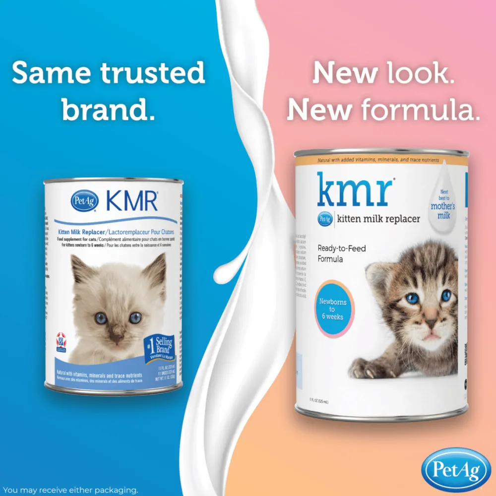 Hot Kitten Milk Replacement Liquid Supplies Collars, Scratchers, Toys, Etc.