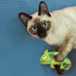 Online Cat Toy Catnip Refillables Chameleon Supplies Collars, Scratchers, Toys, Etc.