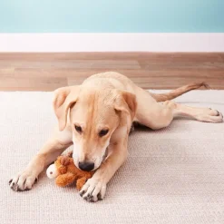 Sale Cozie Dog Toy Marvin Moose Supplies Leashes, Collars, Beds, Flea & Tick, Etc. | Toys Interactive, Plush, Etc.