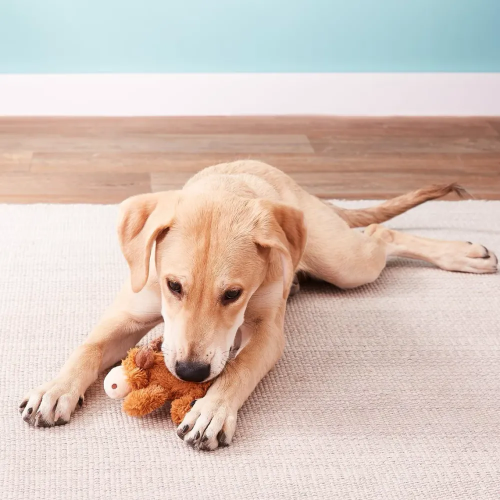 Sale Cozie Dog Toy Marvin Moose Supplies Leashes, Collars, Beds, Flea & Tick, Etc. | Toys Interactive, Plush, Etc.
