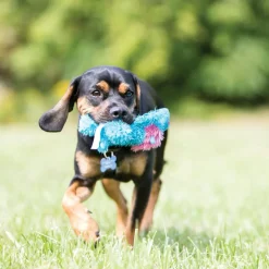 Outlet Cozie King Lion Dog Toy Supplies Leashes, Collars, Beds, Flea & Tick, Etc. | Toys Interactive, Plush, Etc.