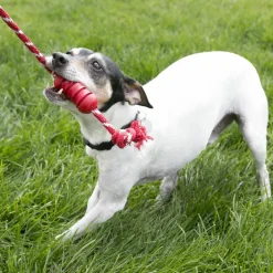Outlet Dental With Rope Supplies Leashes, Collars, Beds, Flea & Tick, Etc. | Toys Interactive, Plush, Etc.