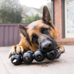 Best Dog Extreme Goodie Ribbon Supplies Leashes, Collars, Beds, Flea & Tick, Etc. | Toys Interactive, Plush, Etc.