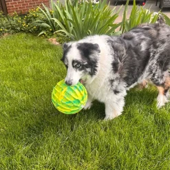 Best Dog Flexball Sports Ball Extra Large Supplies Leashes, Collars, Beds, Flea & Tick, Etc. | Toys Interactive, Plush, Etc.