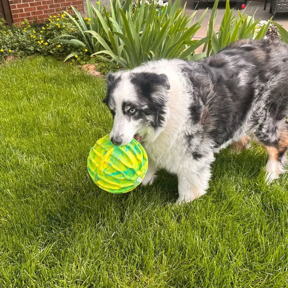 Best Dog Flexball Sports Ball Extra Large Supplies Leashes, Collars, Beds, Flea & Tick, Etc. | Toys Interactive, Plush, Etc.