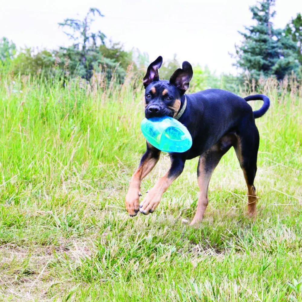 Sale Dog Jumbler Football Supplies Leashes, Collars, Beds, Flea & Tick, Etc. | Toys Interactive, Plush, Etc.