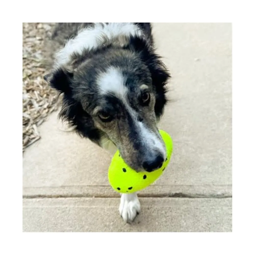 Hot Dog Reflex Football Supplies Leashes, Collars, Beds, Flea & Tick, Etc. | Toys Interactive, Plush, Etc.