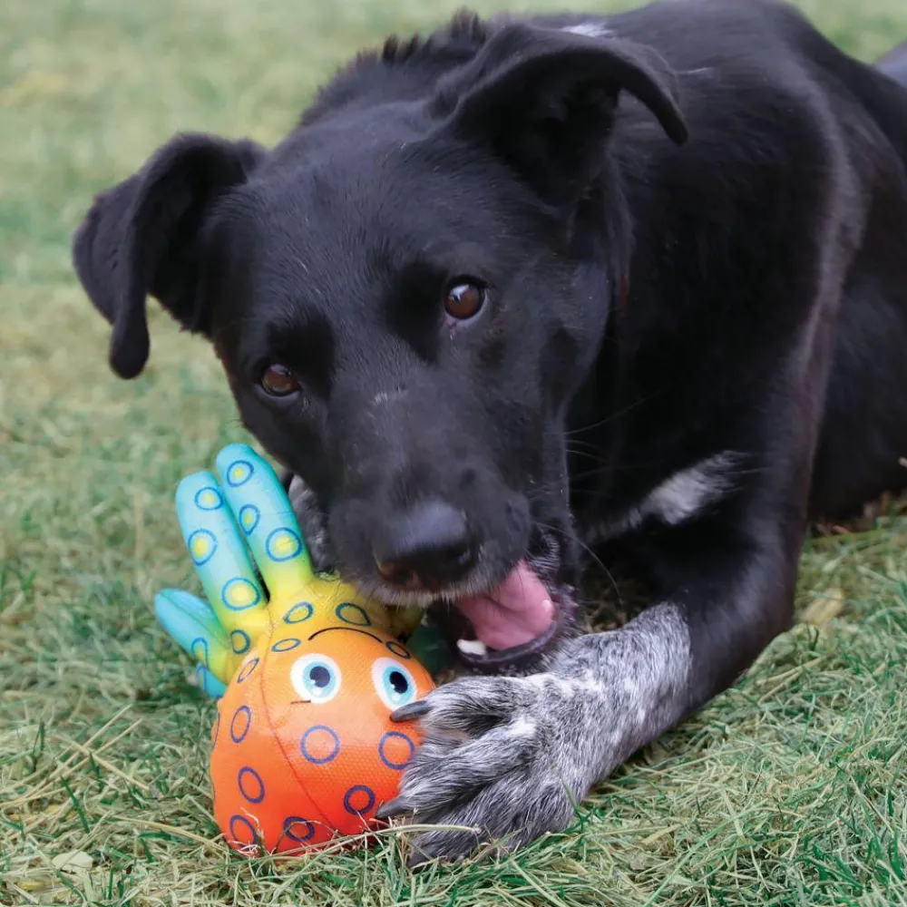 Outlet Dog Toy Shieldz Tropics Octopus Supplies Leashes, Collars, Beds, Flea & Tick, Etc. | Toys Interactive, Plush, Etc.