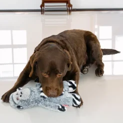 Fashion Jungle Jamz Gorilla Dog Toy Supplies Leashes, Collars, Beds, Flea & Tick, Etc. | Toys Interactive, Plush, Etc.