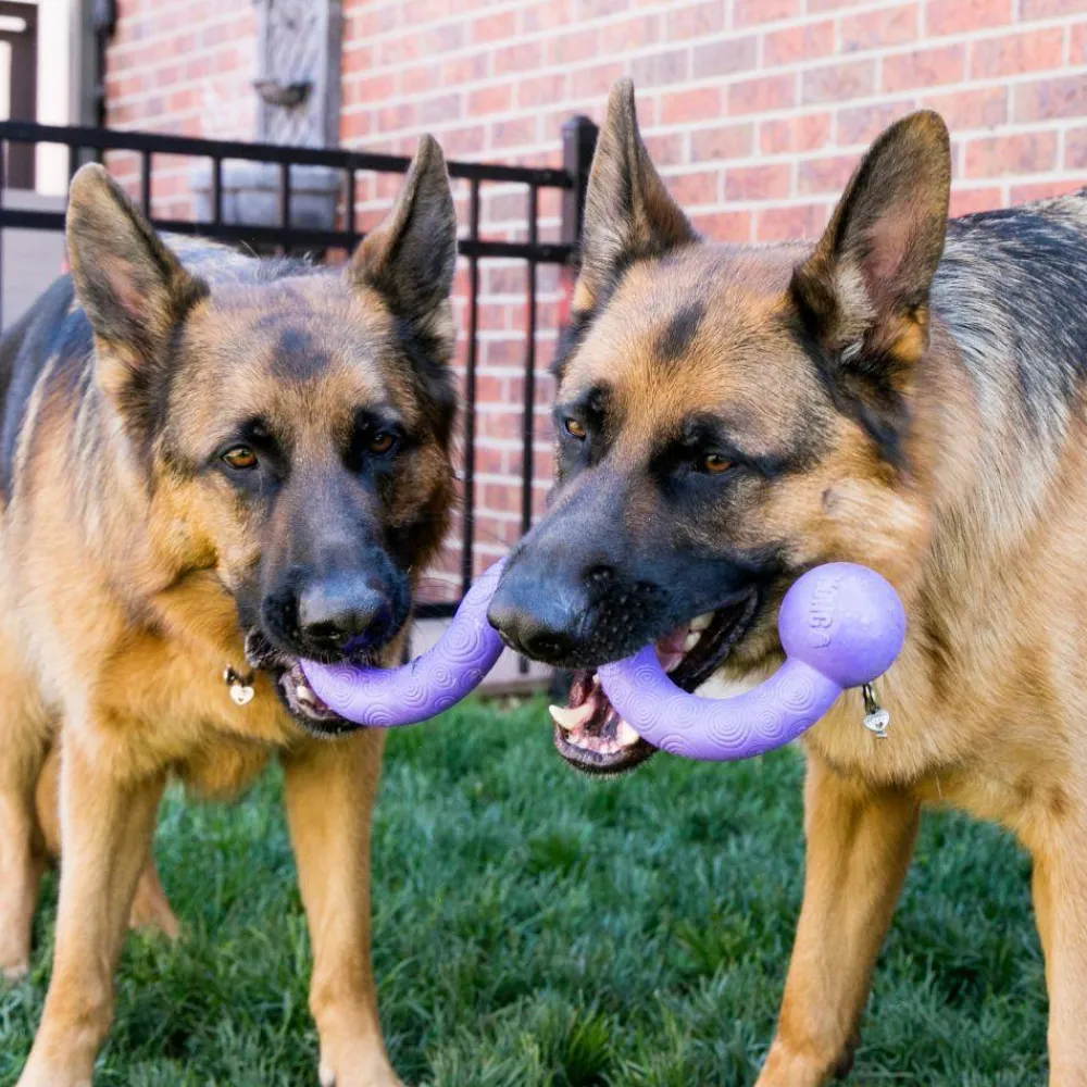 Online Ogee Stick Assorted Dog Toy Supplies Leashes, Collars, Beds, Flea & Tick, Etc. | Toys Interactive, Plush, Etc.