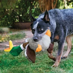 Outlet Shakers Honkers Turkey Dog Toy Supplies Leashes, Collars, Beds, Flea & Tick, Etc. | Toys Interactive, Plush, Etc.