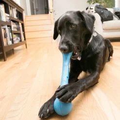 Fashion Squeak Stix Dog Toy Supplies Leashes, Collars, Beds, Flea & Tick, Etc. | Toys Interactive, Plush, Etc.