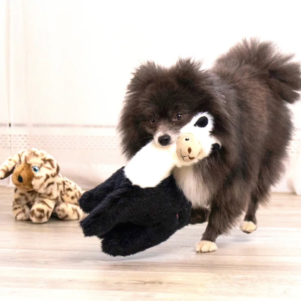 Online Toughz Llama Supplies Leashes, Collars, Beds, Flea & Tick, Etc. | Toys Interactive, Plush, Etc.