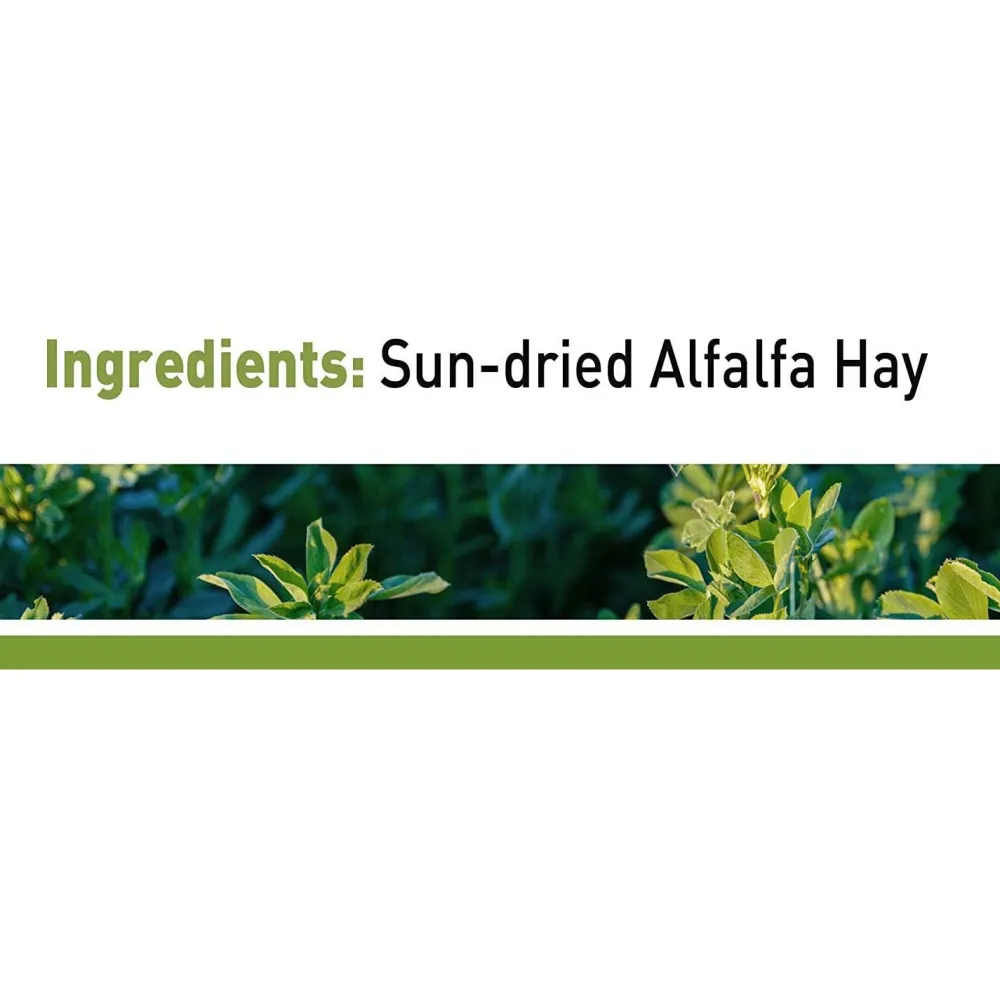 Sale Alfalfa Chews Shop Small Animal Find All Of The Essentials