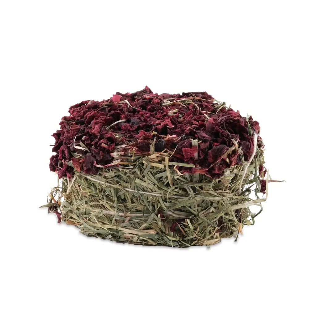 Best Green Botanicals Hay Cake Beet Shop Small Animal Find All Of The Essentials