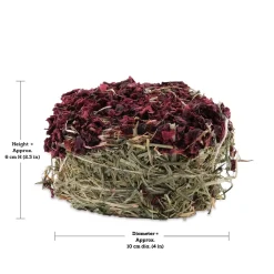 Best Green Botanicals Hay Cake Beet Shop Small Animal Find All Of The Essentials