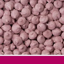 Sale Guinea Pig Treat Field Berry Shop Small Animal Find All Of The Essentials