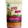 Clearance Rabbit Treat Carrot Flavour Shop Small Animal Find All Of The Essentials