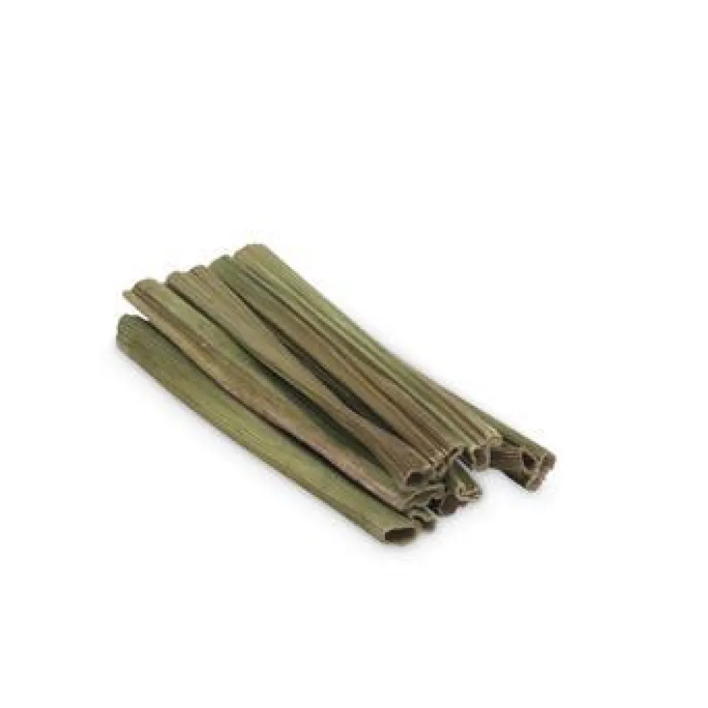 Fashion Small Animal Chew Sugar Cane Stalk Cubes Shop Small Animal Find All Of The Essentials
