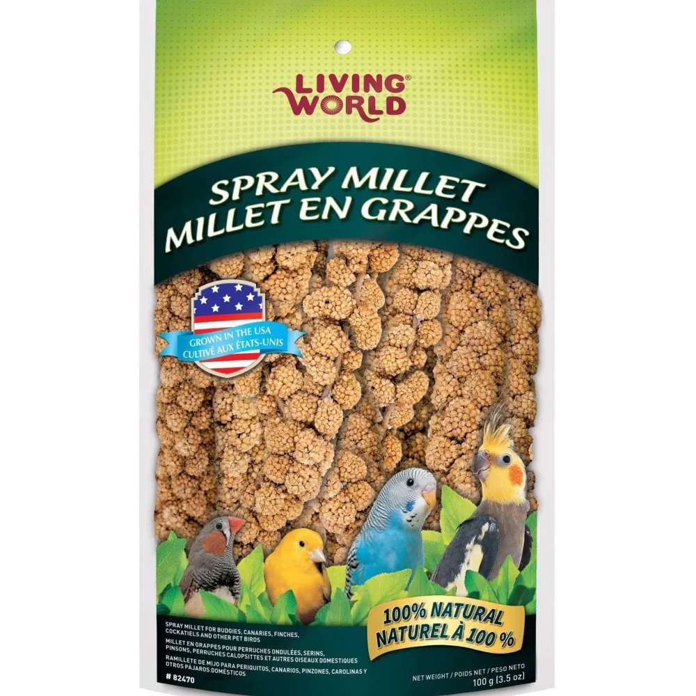 Best Spraymillet Shop Bird Find All Of The Essentials