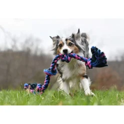 Hot Mammoth Rope Bone 4 Knot Tug Supplies Leashes, Collars, Beds, Flea & Tick, Etc. | Toys Interactive, Plush, Etc.