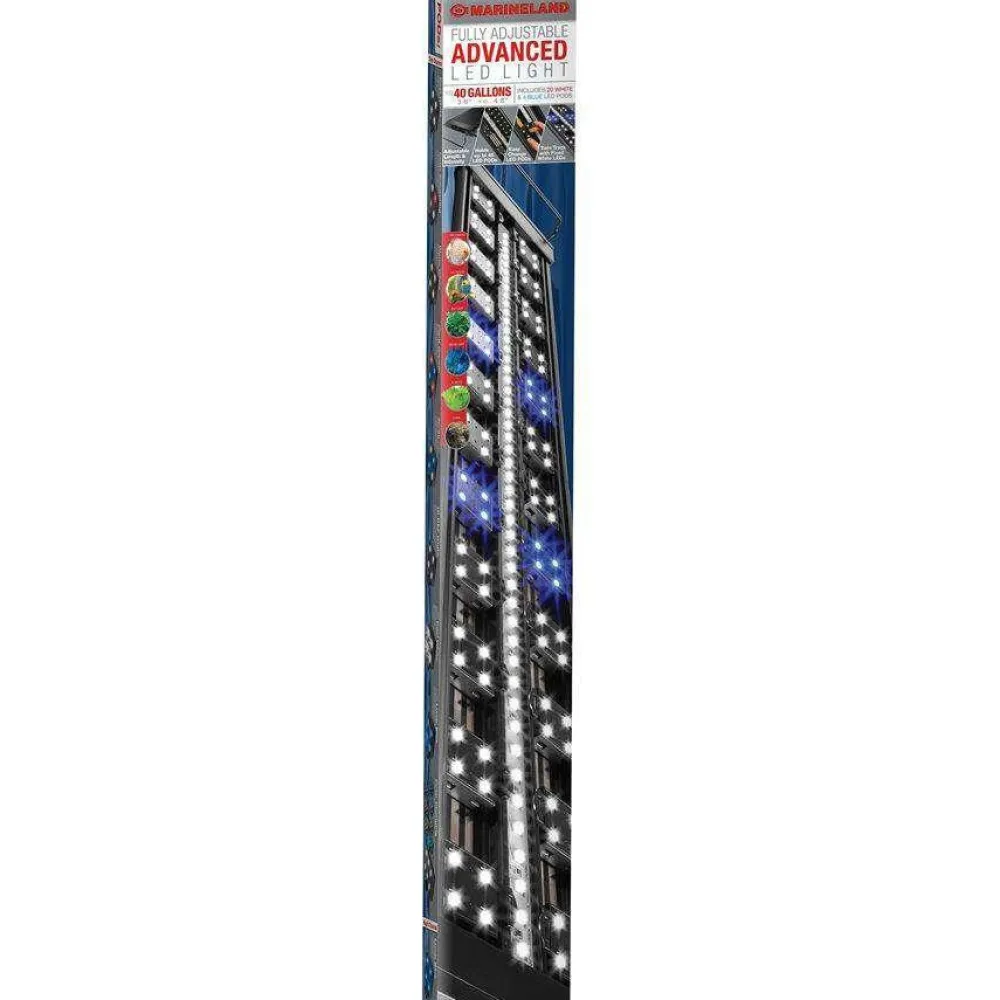 Clearance Advanced LED Light Shop Fish Find All Of The Essentials