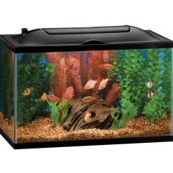 Clearance BIO-Wheel LED Aquarium Kit Shop Fish Find All Of The Essentials