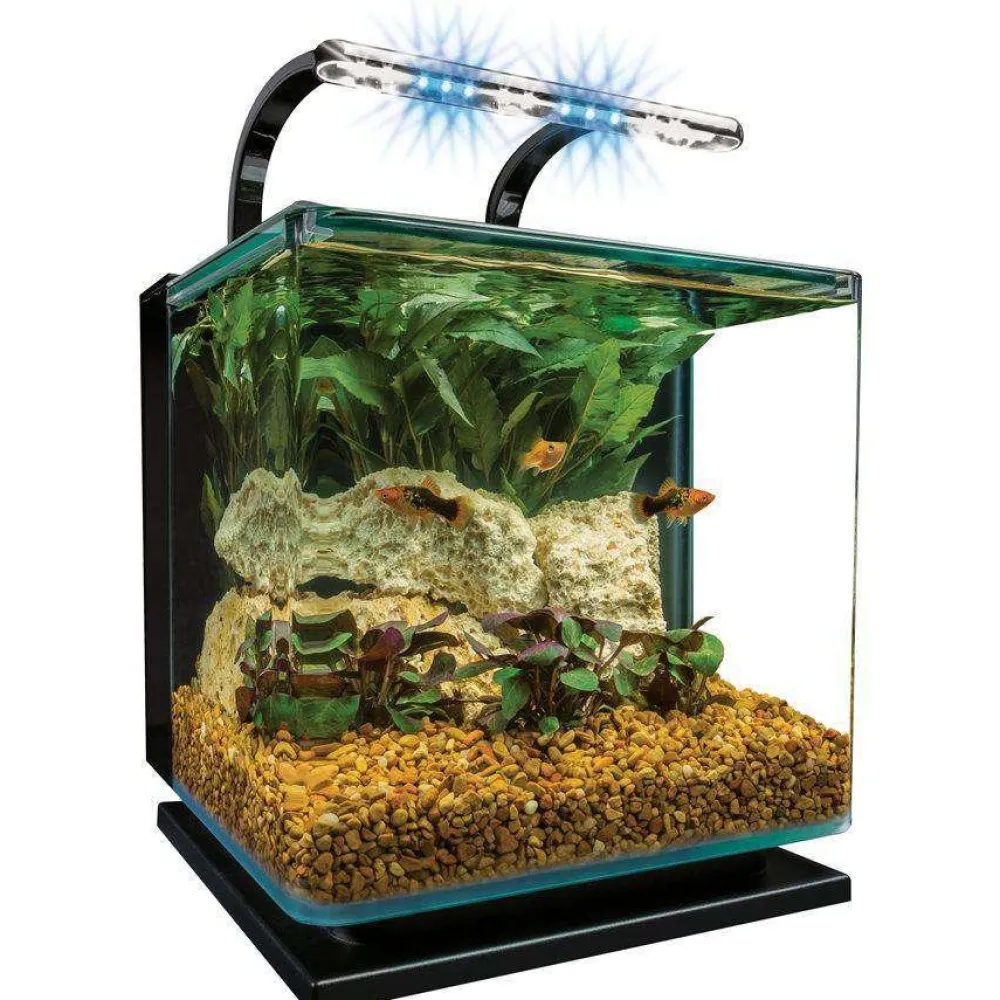 Hot Contour Rail Light Aquarium Kit Shop Fish Find All Of The Essentials