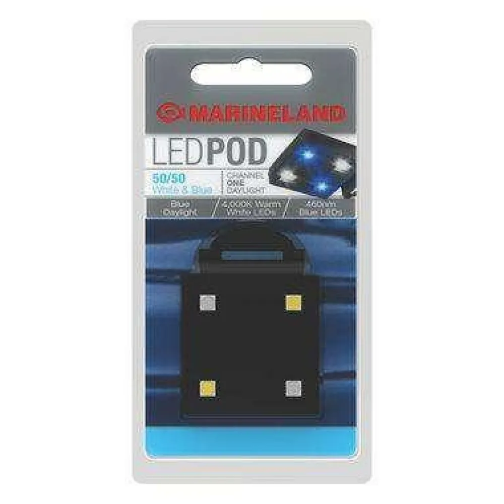 Discount LED POD 50/50 White & Blue Light Shop Fish Find All Of The Essentials