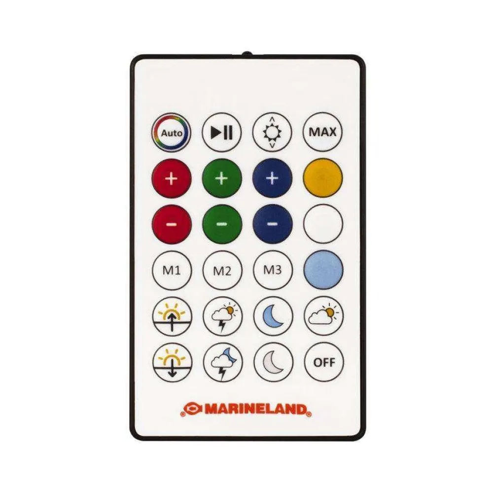 Fashion LED POD Color Changing Light with Remote Shop Fish Find All Of The Essentials