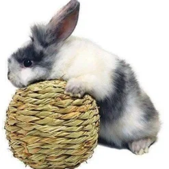 Discount Rabbit Woven Grass Play Ball Shop Small Animal Find All Of The Essentials