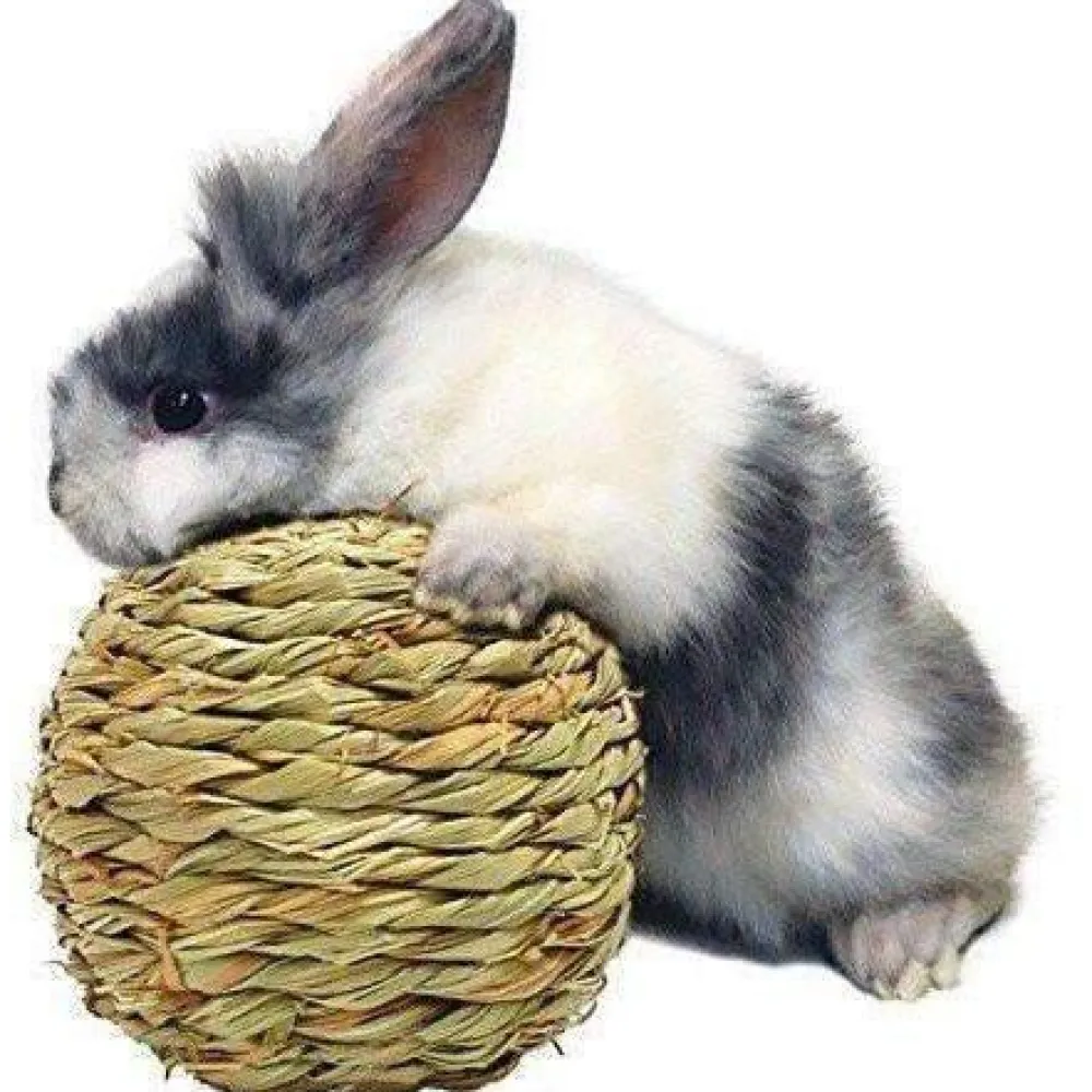 Discount Rabbit Woven Grass Play Ball Shop Small Animal Find All Of The Essentials