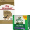 Discount Max Value Pack: German Shepherd Adult Dry Food 13.6 Kg + Greenies Large Dental Dog Treats 1.02 Kg Food Dry, Wet, Freeze Dried, Etc.