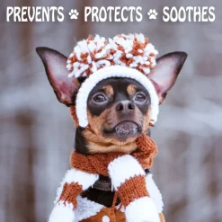 Discount Pet Paw Protection Wax Supplies Leashes, Collars, Beds, Flea & Tick, Etc.