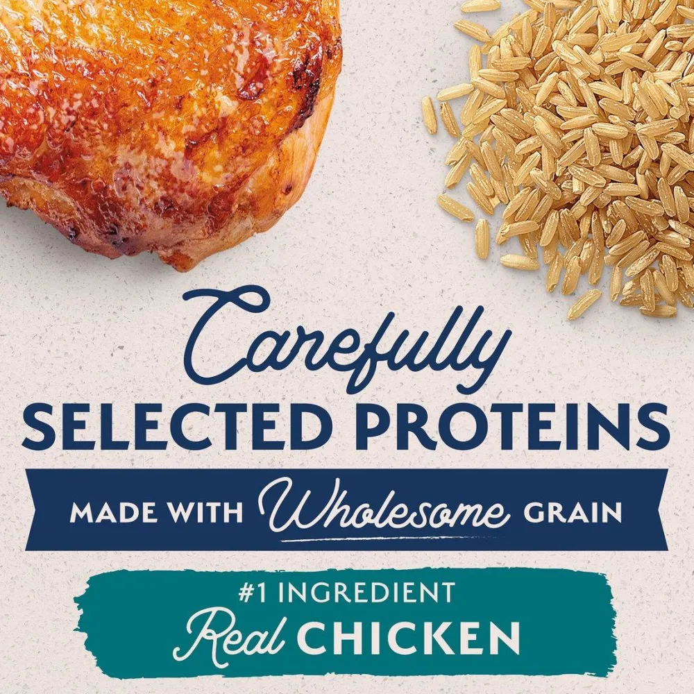 Discount Limited Ingredient Diet Chicken & Rice Puppy Food Food Dry, Wet, Freeze Dried, Etc.