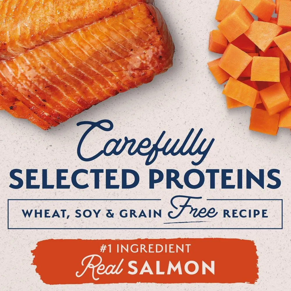 Clearance Limited Ingredient Diet Salmon & Sweet Potato Dog Food Food Dry, Wet, Freeze Dried, Etc.