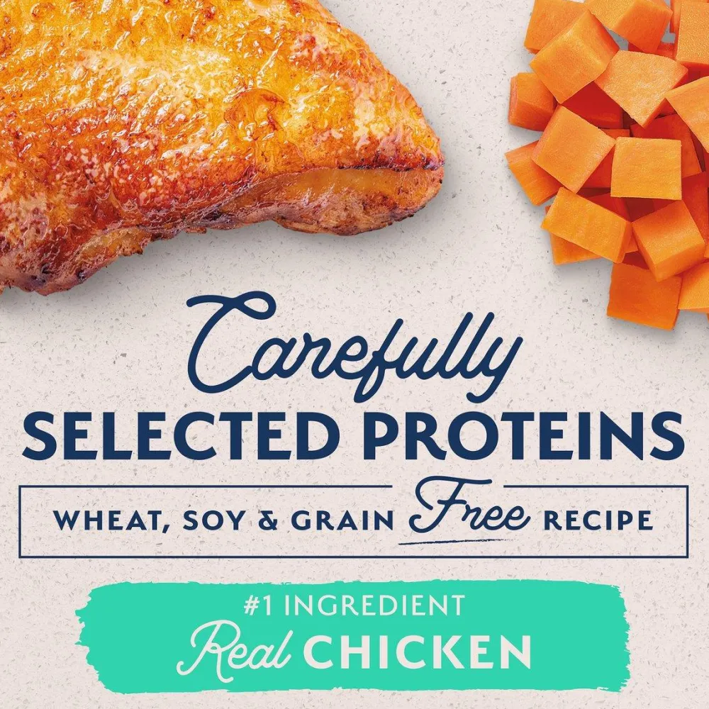 Online Limited Ingredient Diet Sweet Potato & Chicken Dog Food Food Dry, Wet, Freeze Dried, Etc.
