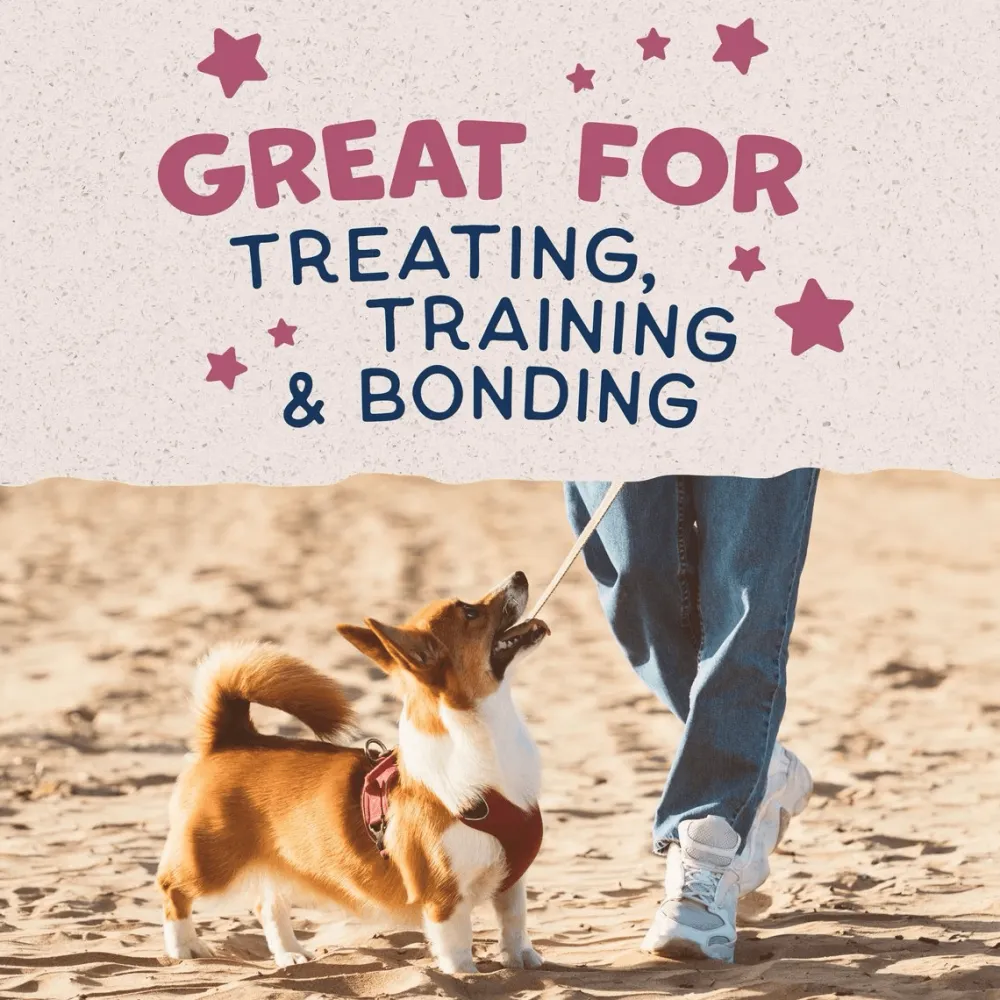 Sale Rewards Crunchy Biscuits Real Venison Dog Treats Treats Treats & Chews