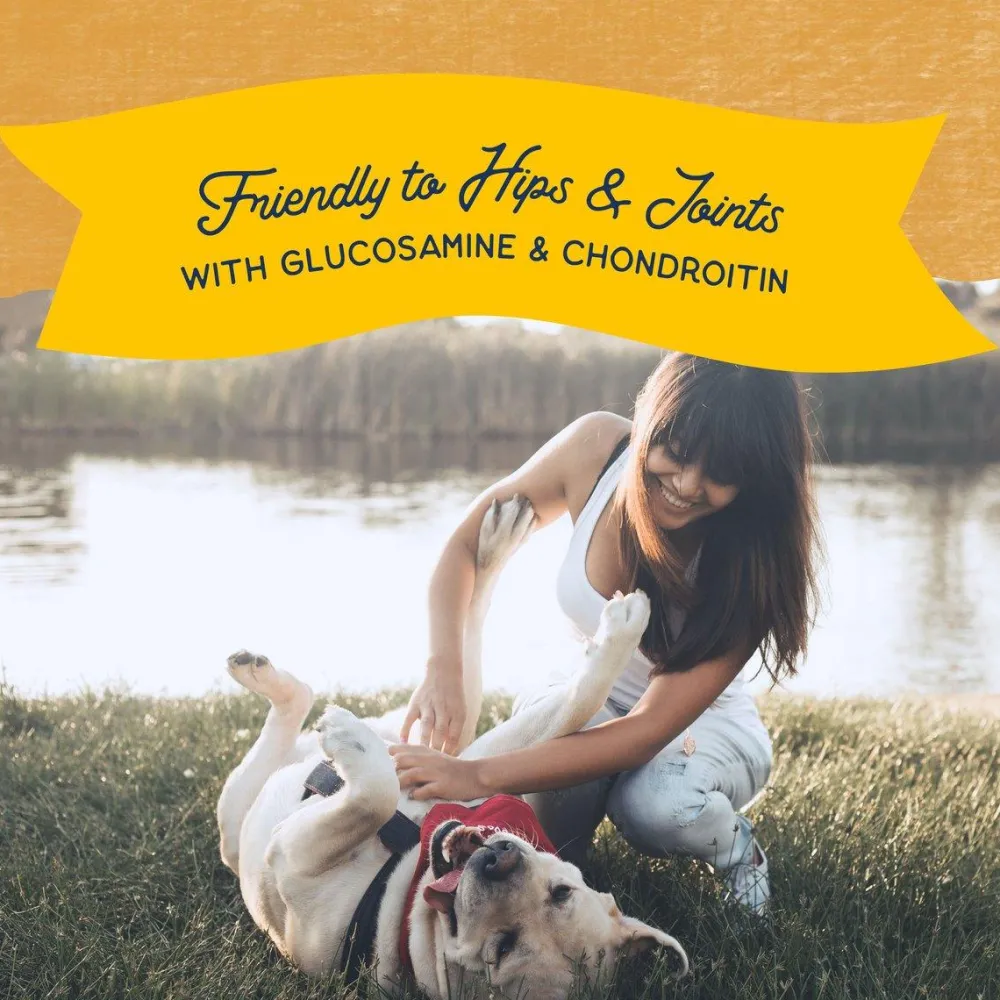 Discount Rewards Jumpin' Stix With Real Duck Dog Treats Treats Treats & Chews