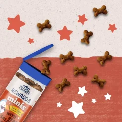 Best Rewards Minis with Real Salmon Dog Treats Treats Treats & Chews