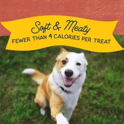 Best Rewards Minis with Real Salmon Dog Treats Treats Treats & Chews