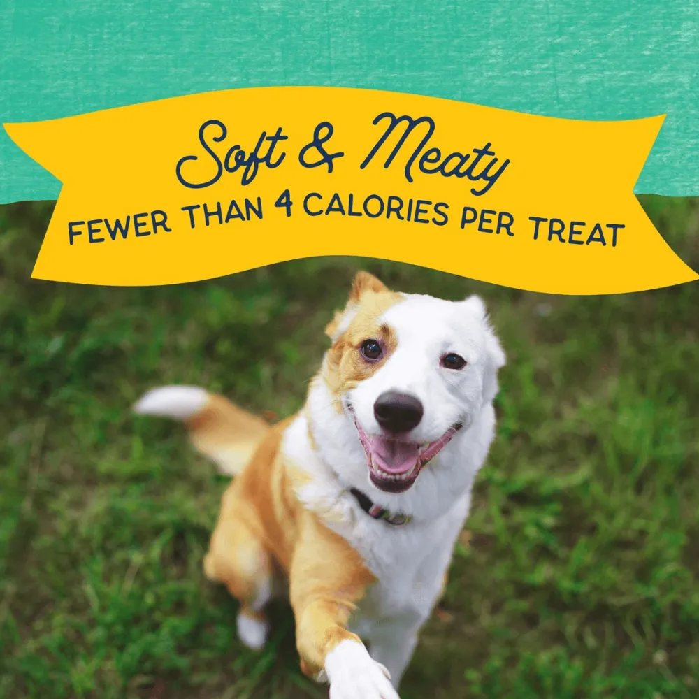 Best Rewards Minis with Real Chicken Dog Treats Treats Treats & Chews