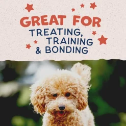 Best Rewards Minis with Real Salmon Dog Treats Treats Treats & Chews