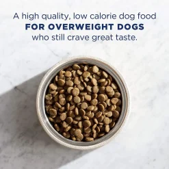 Fashion Targeted Nutrition Fat Dogs Low Calorie Dog Food Food Dry, Wet, Freeze Dried, Etc.