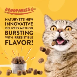 Discount Cat Scoopable Quiet Moments Supplies Collars, Scratchers, Toys, Etc.